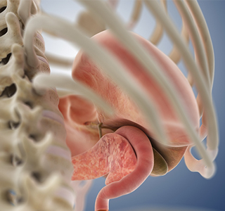 Gallbladder care
